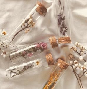 Meet your Posher, Johanna